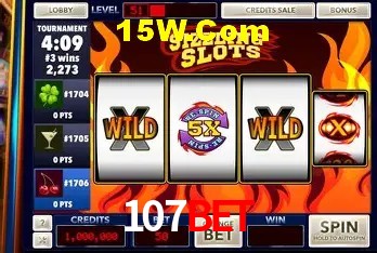 Security Systems 107Bet